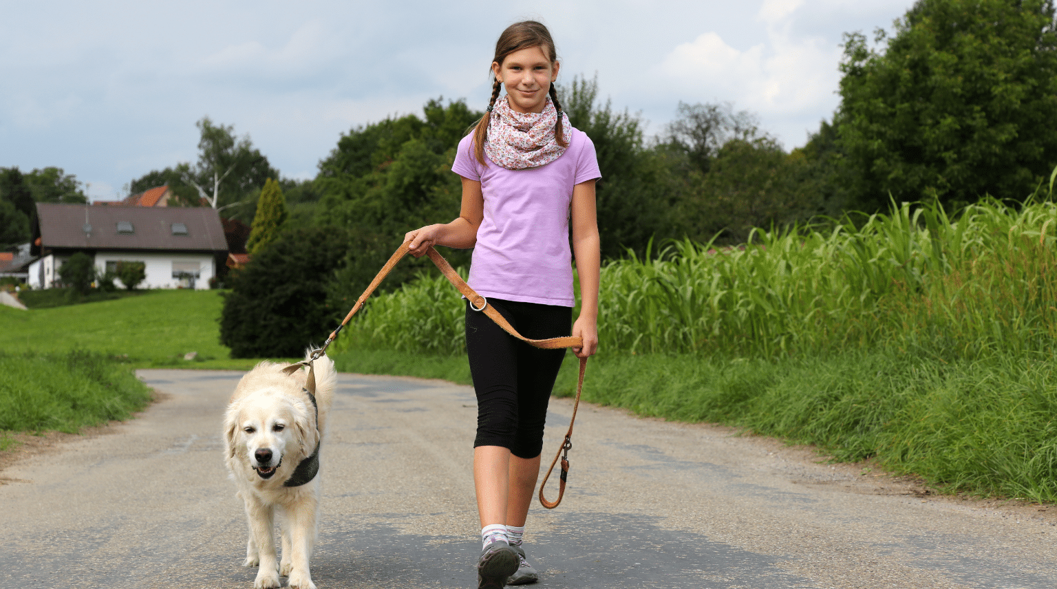Halterin führt ihren angeleinten Hund beim Spaziergang
